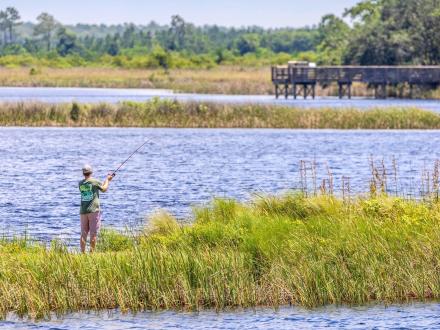 man fishing in lake Shelby in gulf state park, freshwater fishing in Gulf Shores