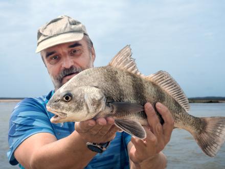 Man holding a small black drum, puppy drum, caught in the Gulf