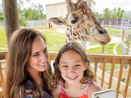 Mom and daughter snapping a selfie with a giraffe at the Alabama Gulf Coast Zoo in Gulf Shores