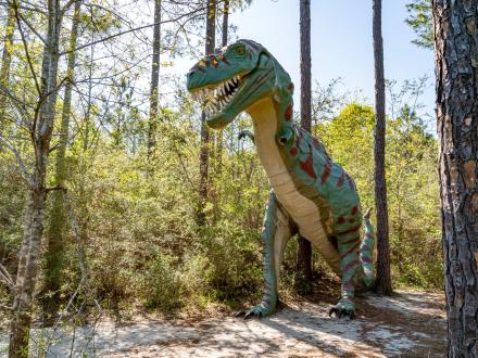 Giant t-rex, dinosaurs in the woods at Barber Marina