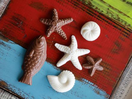 Shell, starfish, and fish shaped handmade chocolates at the Chocolate Corner in Gulf Shores