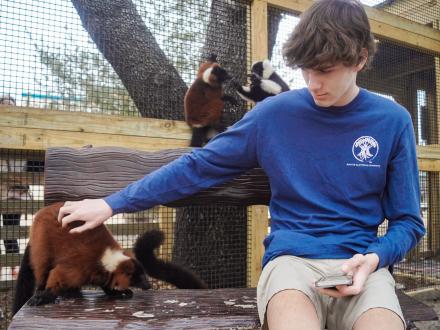 Boy petting a lemur at the Alabama Gulf Zoo animal encounters