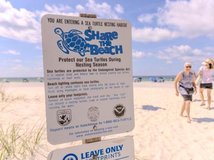 share the beach sea turtle program sign on the beach in Gulf Shores
