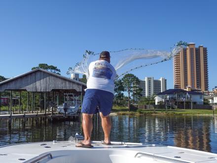 angler casting a net into the back bays of Orange Beach to catch bait for red snapper