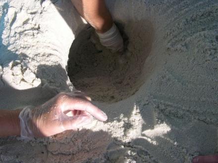 hands in the sand digging a hole on the beach