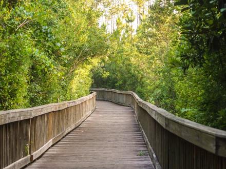 scenic view of a boardwalk trail in Gulf State Park
