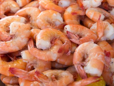 fresh pink shrimp from the Gulf