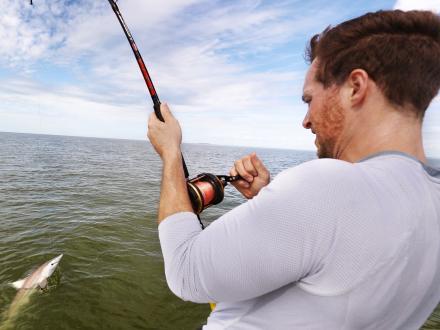 Angler reeling in a spinner shark from a boat offshore