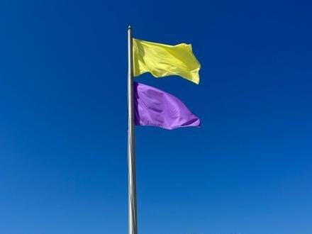 yellow and purple beach safety flags in Gulf Shores & Orange Beach
