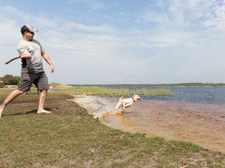 Owner throwing a stick into the dog pond for a dog to chase in Gulf State Park