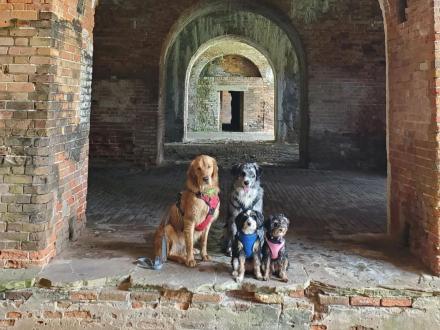 Dogs posing in the tunnels inside Historic Fort Morgan