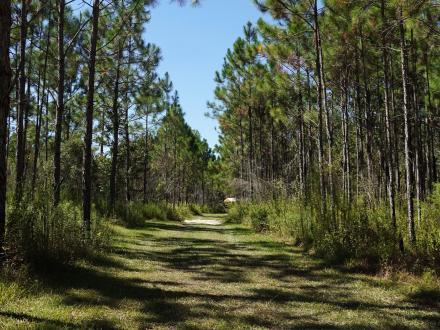 Off-road hiking and biking trail in Graham Creek Nature Preserve