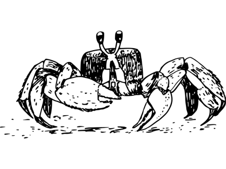 Illustration a cute ghost crab