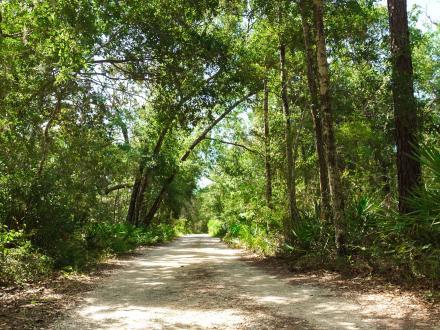 Hiking trail in Bon Secour National Wildlife Refuge natural habitat in Fort Morgan