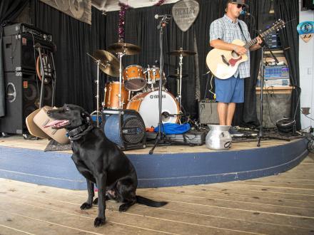 a man performing on the live music stage at OSO's waterfront bar