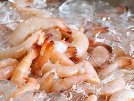 fresh, headless peel-n-eat shrimp sitting on a bed of ice