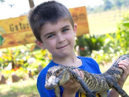 Boy holding a baby alligator at Alligator Alley alligator farm