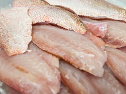 fresh fish filets at a seafood market in Gulf Shores