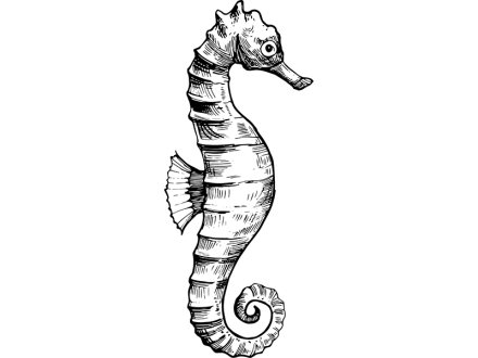 Illustration of a seahorse