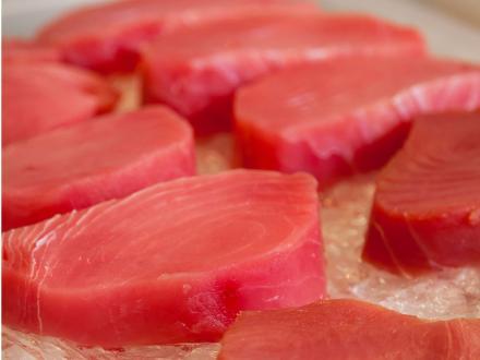 fresh tuna filets on ice at a seafood market in Orange Beach