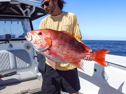Angler holding a large red snapper caught in the Gulf on a charter fishing trip in Orange Beach