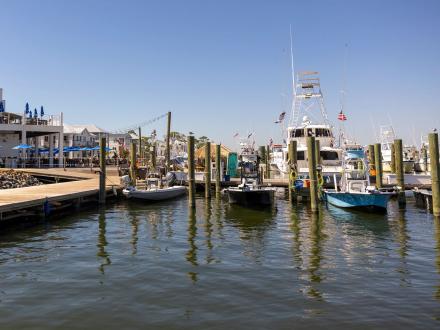 boats, yachts, and watercraft docked at Zeke's Marina in Orange Beach