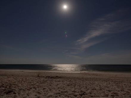 Stars shining over the beach in Gulf Shores at night