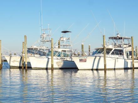 fishing charter boats docked at the Fort Morgan Marina