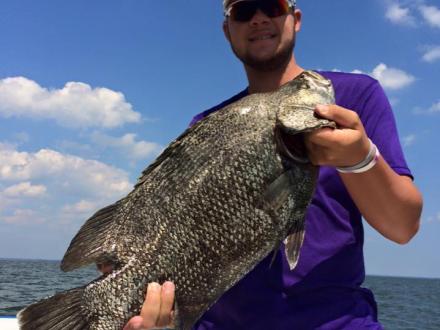 angler holding a tripletail caught during an offshore charter in Orange Beach