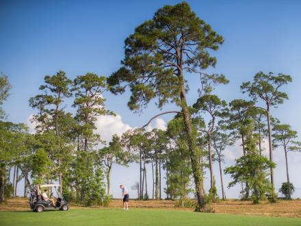Father and son golfing at Peninsula Golf & Racquet Club in Gulf Shores