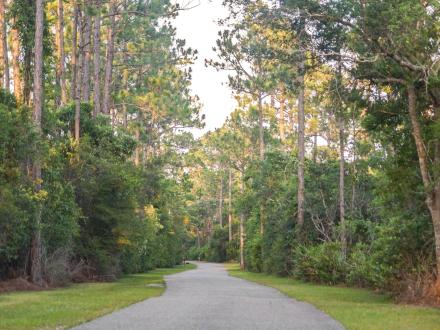 Wide, paved nature and biking trail inside Gulf State Park