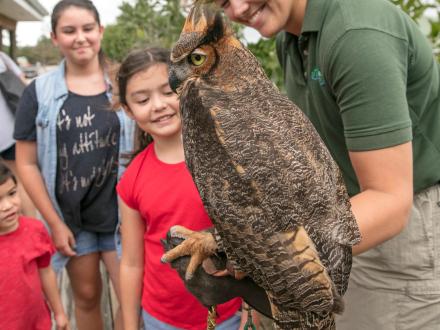 owl at gulf state park nature center