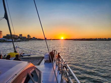 sunset cruise in orange beach with sail wild hearts
