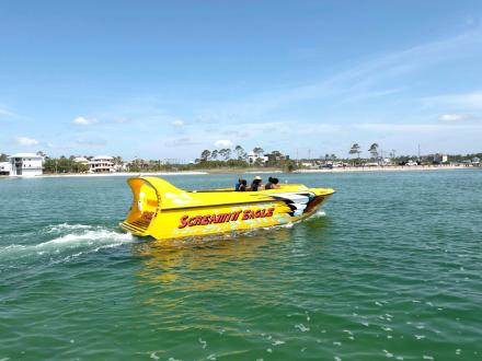 screaming eagle boat tour in orange beach