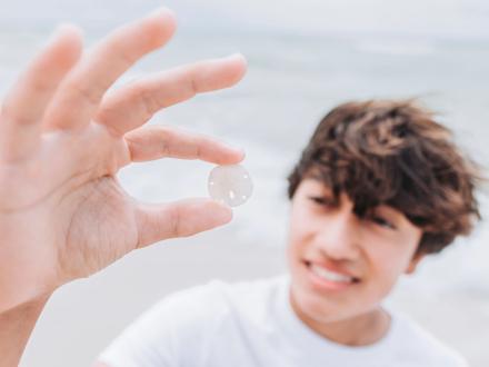 boy holding sand dollar