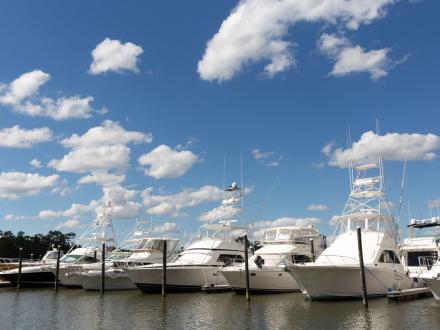 Boats lining the marina at The Wharf