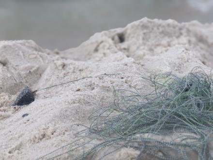 discarded fishing line left in the sand on the beach