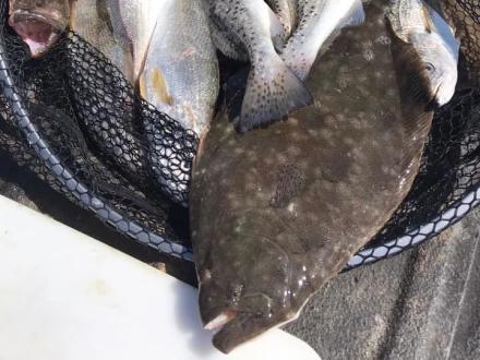Basket of trout and flounder caught while inshore fishing in Orange Beach