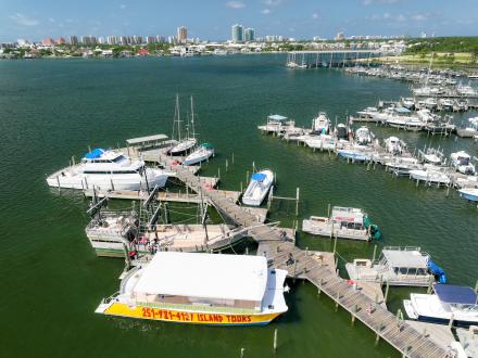 Aerial view of boats docked at a marina in Orange Beach