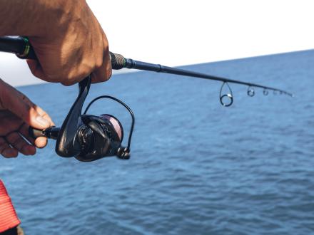 bait caster fishing reel