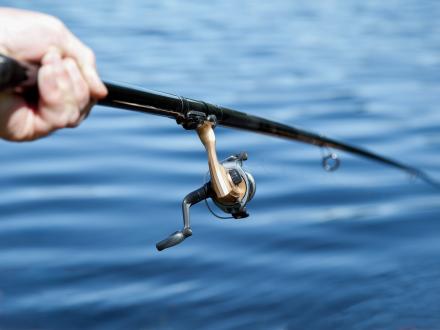 Spinning fishing reel