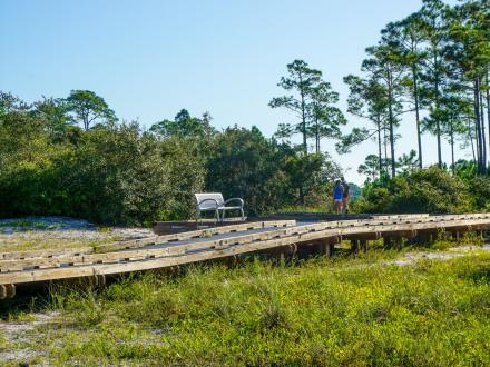 couple walking along the boardwalk train in bon Secour national wildlife refuge in fort morgan