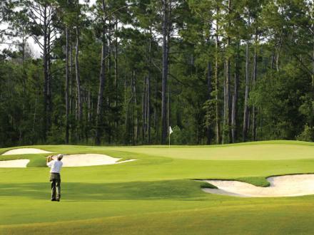 man golfing at golf shores golf club
