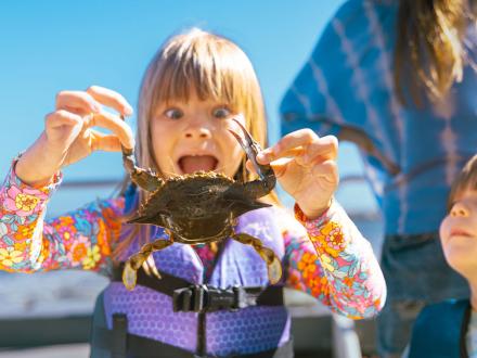 Little girl holding up a blue crab on a Fun Boat Dolphin Cruise in Orange Beach
