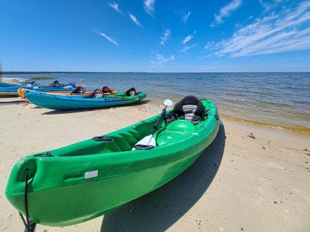Bright green rental kayak from Wild Native Tours Kayak Rentals sitting on the sandy Gulf Shores, Alabama beach on a sunny day.