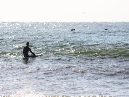 surfing in orange beach, alabama