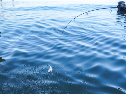 Angler reeling in a white trout on a fishing charter in Gulf Shores