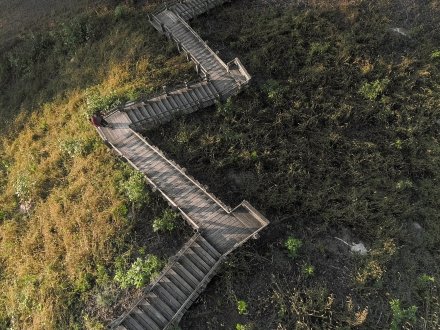 Pinson Mounds State Archaeological Park