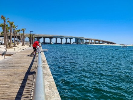 Angler fishing into the Gulf from the Perdido Pass Seawall free fishing spot in Orange Beach