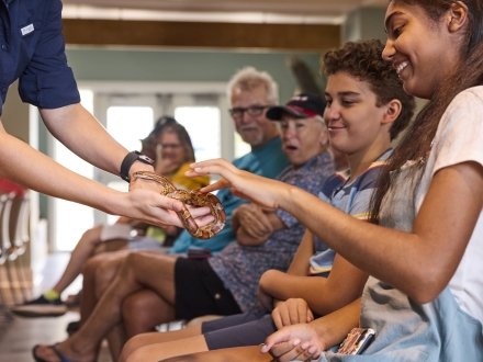 Family interacting with local wildlife at the Nature Center in Gulf State Park